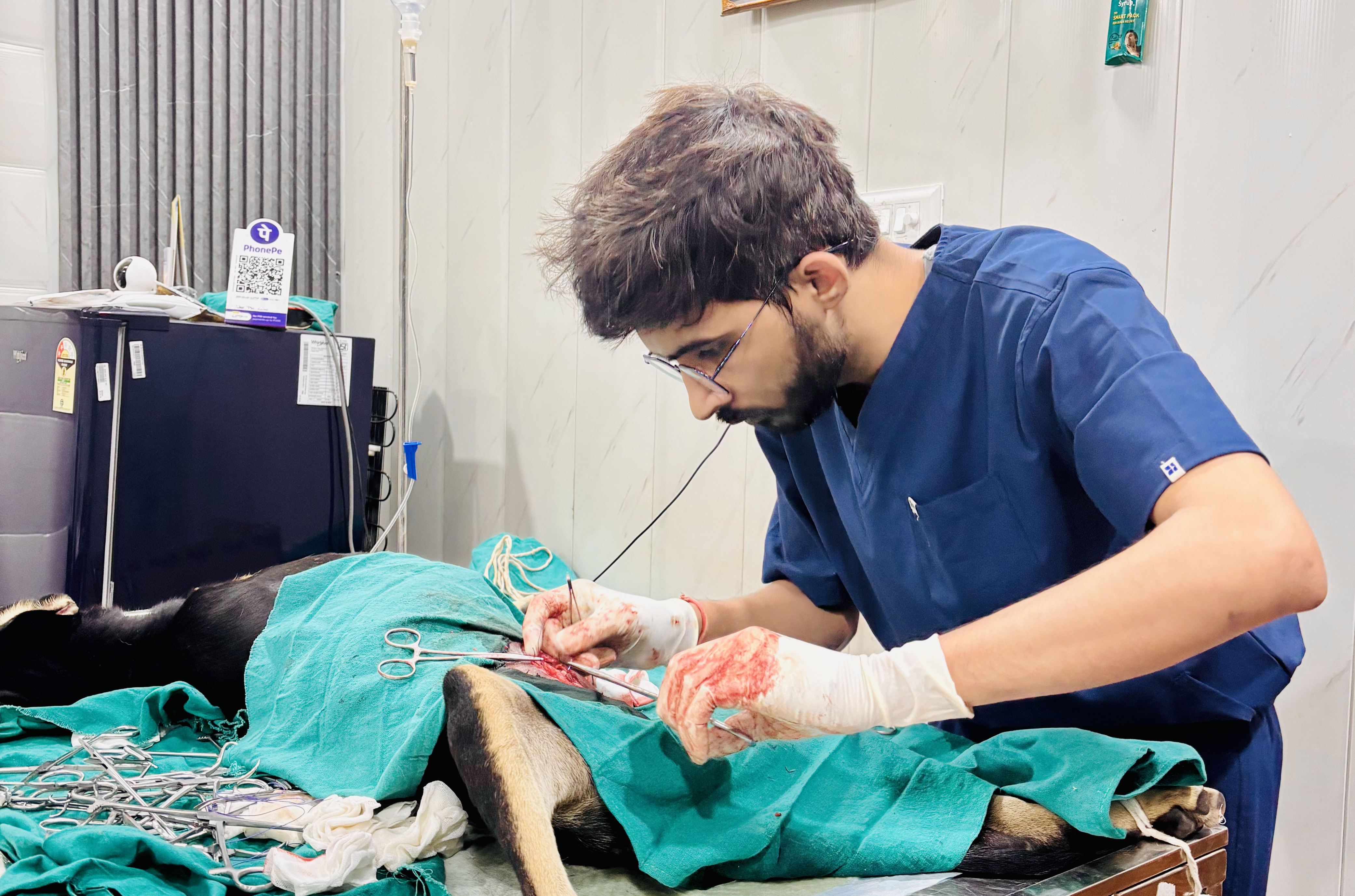 A cat under veterinary care at WAAT Pet Clinic
